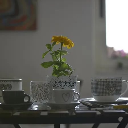 Bed and Breakfast Victoria 3*